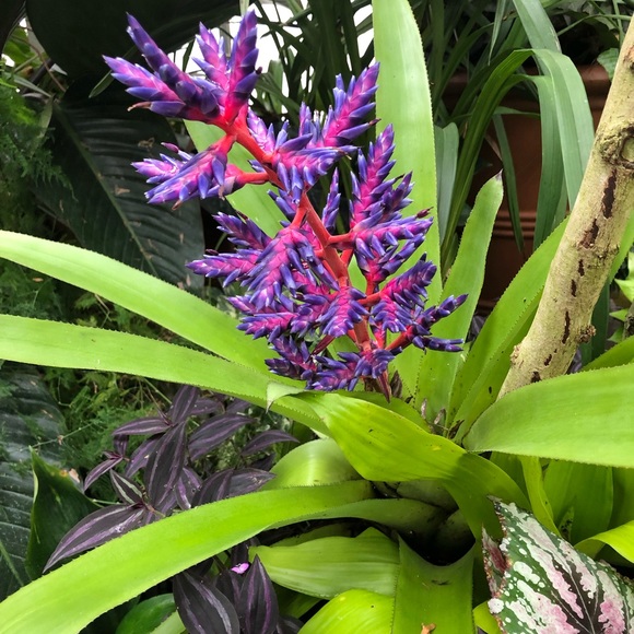 Meet your Posher, Laura - Picture 1 of 1